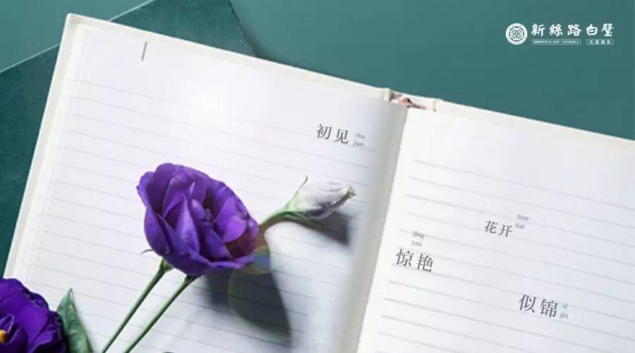 时光荏苒，白璧生辉