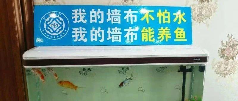 健康第一 ，新丝路白璧为您守护！